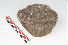 Foto von Stein (NHMW-PRAE-003434e)